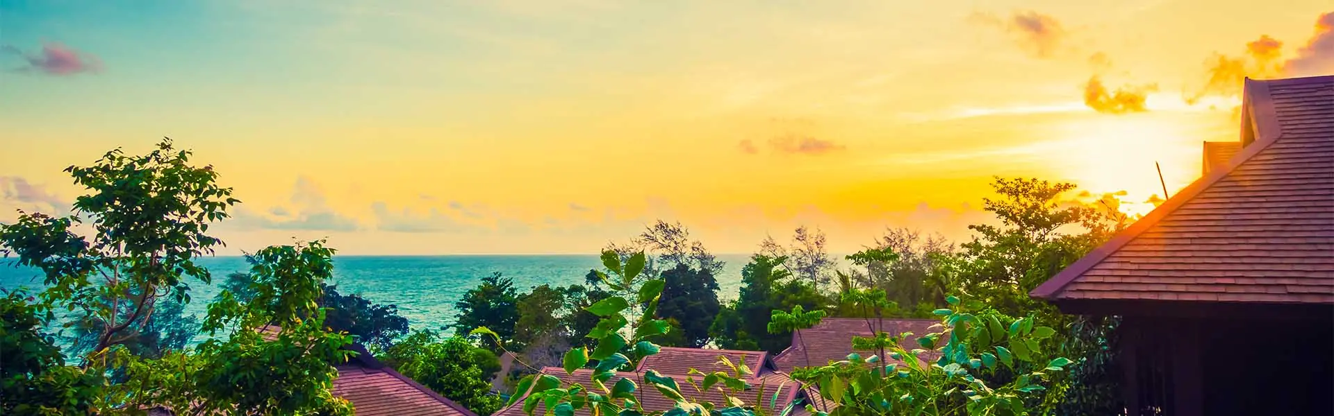 Best Social Hostels in Goa for Carnival Party Nights
