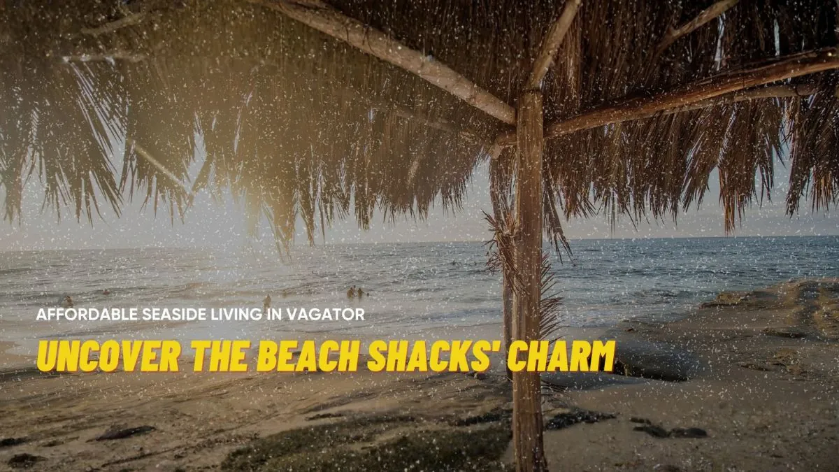 Affordable Seaside Living in Vagator: Uncover the Beach Shacks’ Charm