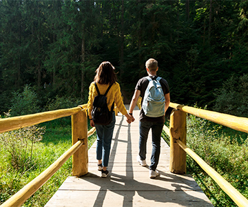 Cycling Trails or Nature walks
